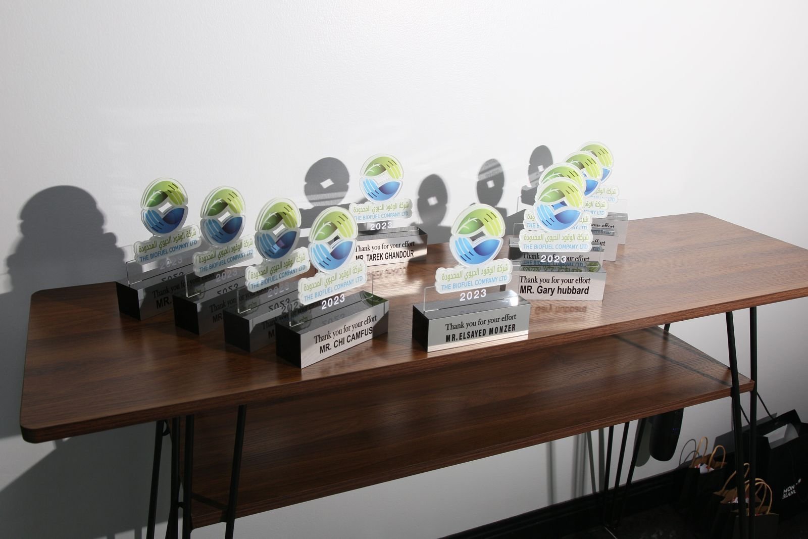 The Biofuel Company 2024