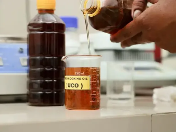 مقابلة شركة الوقود الحيوي مع زاوية