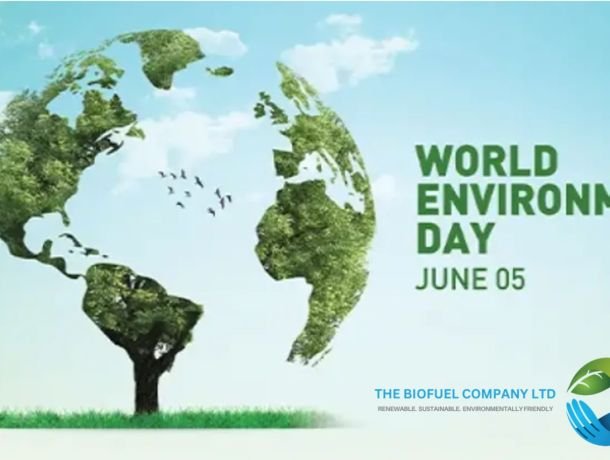 World Environment Day 2024 image